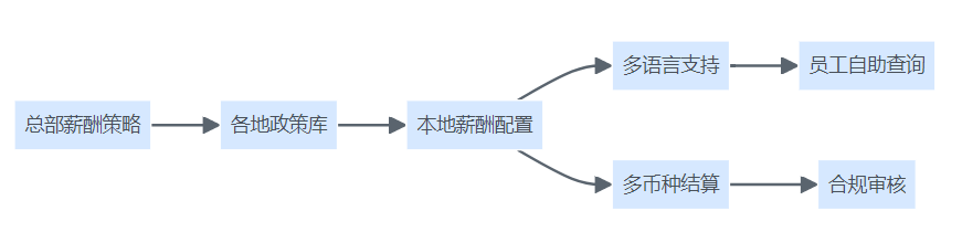 全球化薪酬管理平台本地化适配结构图