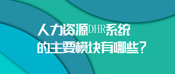 DHR系统的主要模块